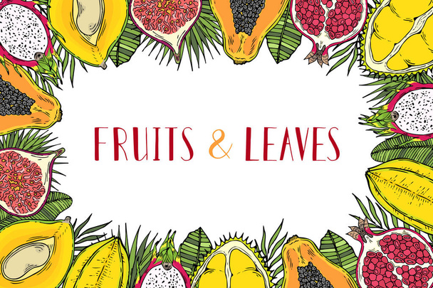 Frame of fruits and tropical leaves. With the words Healthy food. White background. - 写真・画像