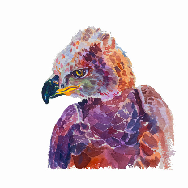 Aquarell eines gekrönten afrikanischen Adlers auf Weiß - Vektor, Bild