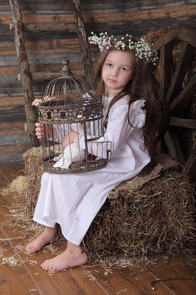 girl in a wreath holding a cage with a live white dove - Fotoğraf, Görsel