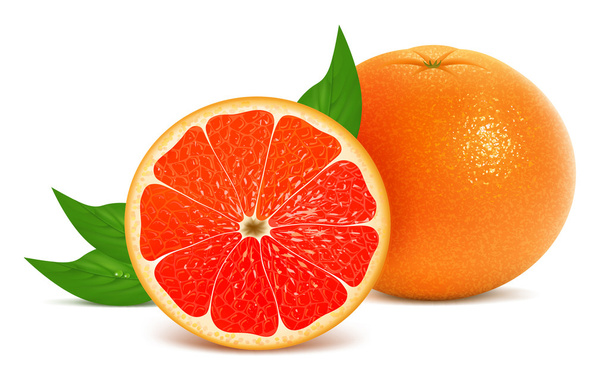 Fresh grapefruit - Vector, Image