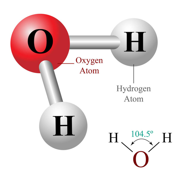 H2O, illustrazione della molecola d'acqua
 - Vettoriali, immagini