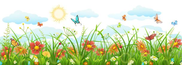 letní tráva a květiny - Vektor, obrázek