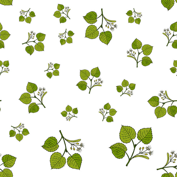 Seamless vector pattern with linden branches - ベクター画像