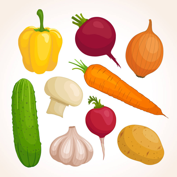 Vector set of fresh vegetables. Design template of food ingredients. - Vector, imagen