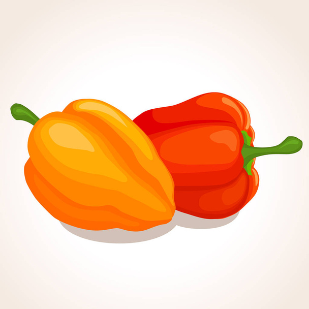 Vector illustration of two bell peppers - Вектор,изображение
