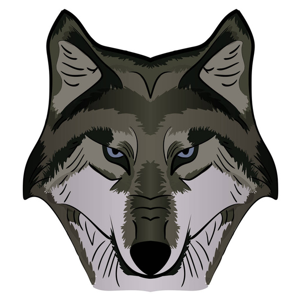 Cartoon Vector Mascot Image Grey Wolf Head - Vektori, kuva