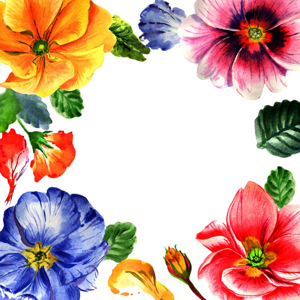 Wildflower primula flower frame in een aquarel stijl geïsoleerd. - Foto, afbeelding