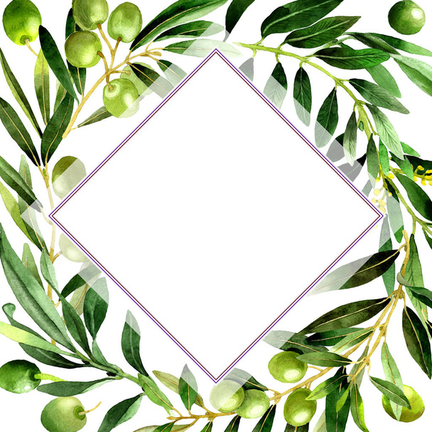 Olive tree frame in a watercolor style isolated. - Фото, зображення