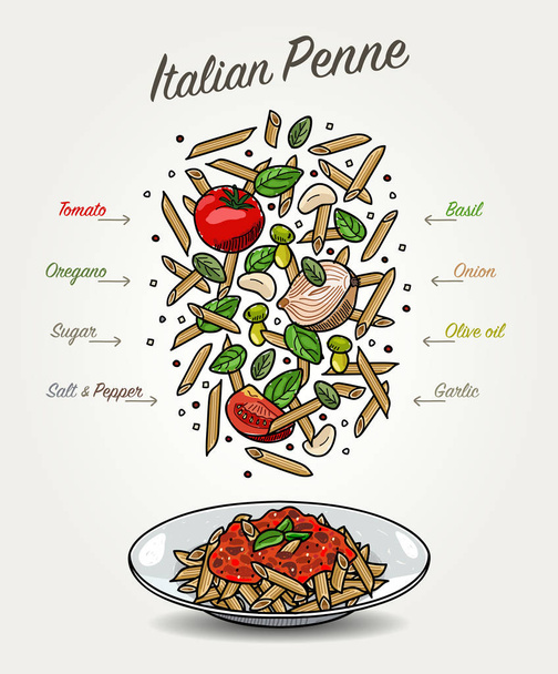 Vector Pasta Penne met tomatensaus in plaat en vallende ingrediënten - Vector, afbeelding