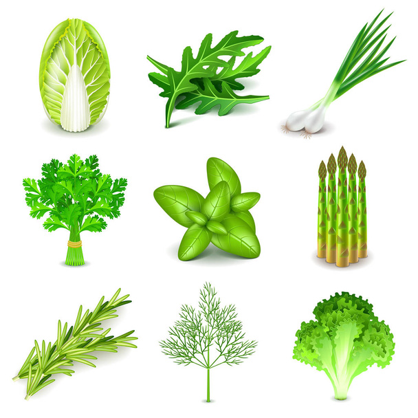 Zöld zöldségek és fűszerek ikonok vektoros készlet - Vektor, kép