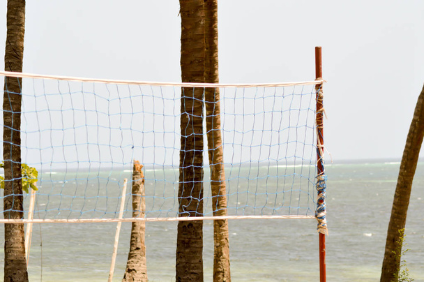 Handbal netto met twee stammen van palm  - Foto, afbeelding