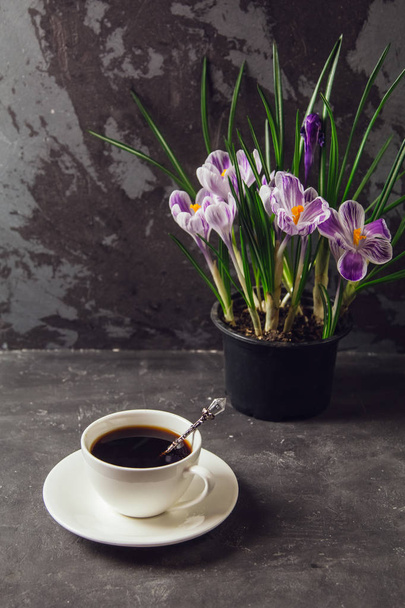 On the table is a Cup of coffee and a vase with flowers crocuses on the background of the loft wall - Φωτογραφία, εικόνα