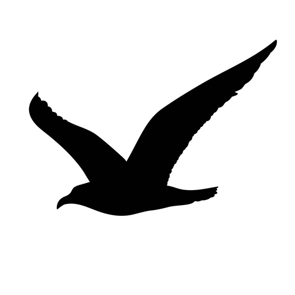 Conceito de silhueta de gaivota voadora
 - Vetor, Imagem