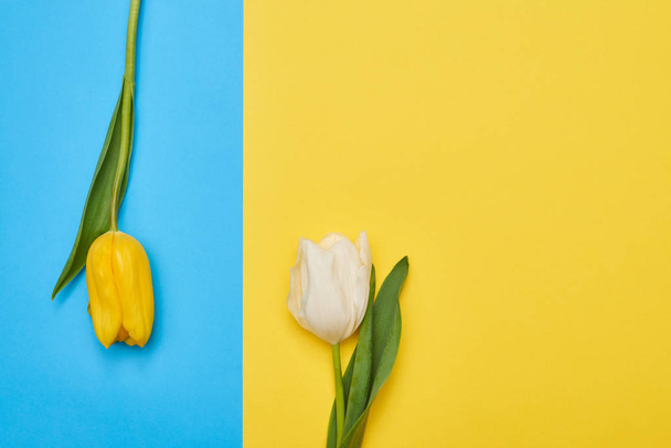 A pair of spring flowers arranged on different flatlays - Фото, зображення