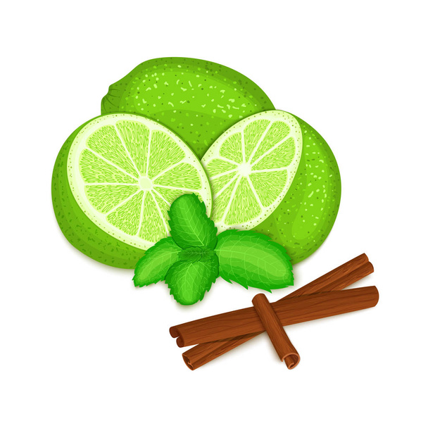 Vector composition of a citrus lime fruit mint leaves and spice. Green limes whole cut and cinnamon stick with pepper mint leaf for design the packaging of juice, breakfast, healthy eating, vegan food - Vector, Image