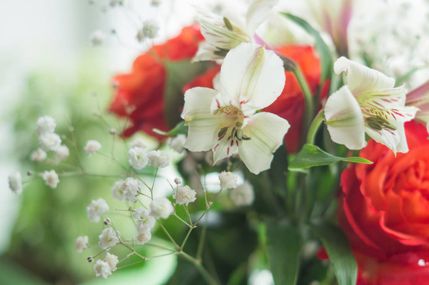 κόκκινα τριαντάφυλλα και λευκές στάχια - Φωτογραφία, εικόνα