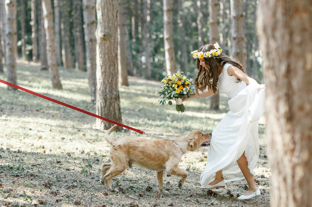 marié avec la mariée et le chien
 - Photo, image