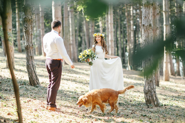 groom with the bride and the dog - Photo, Image