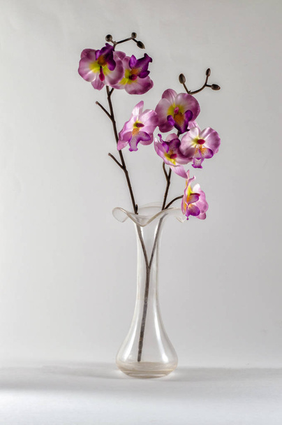 Vase with orchids - Foto, imagen