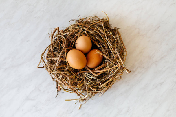 Braune Eier im Vogelnest - Foto, Bild