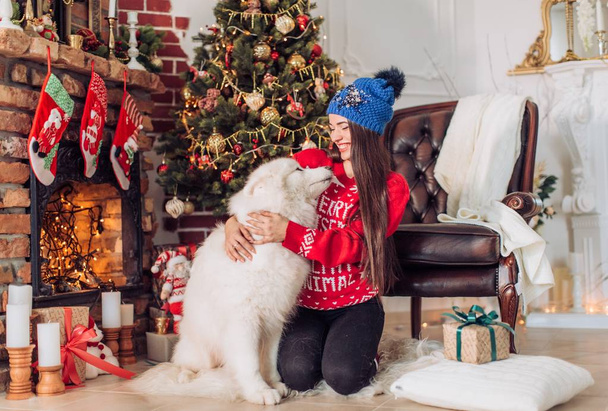 femme près du sapin de Noël avec chien samoyed
 - Photo, image