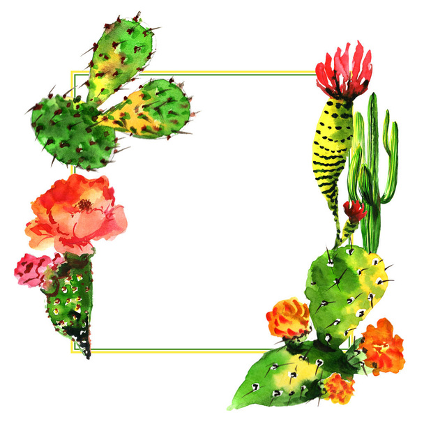 Tropical cactus tree frame in a watercolor style isolated. - Foto, Imagem