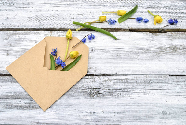 Spring flowers in an envelope on a white wooden surface - Foto, immagini
