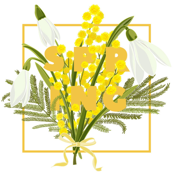 Spring floral background with beautiful snowdrop and mimosa flower - Vector, Image