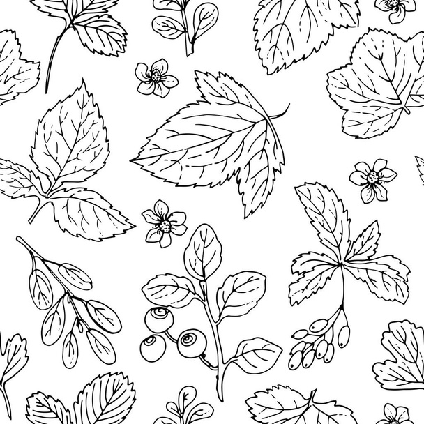 hand-drawn berries and leaves pattern - Vetor, Imagem