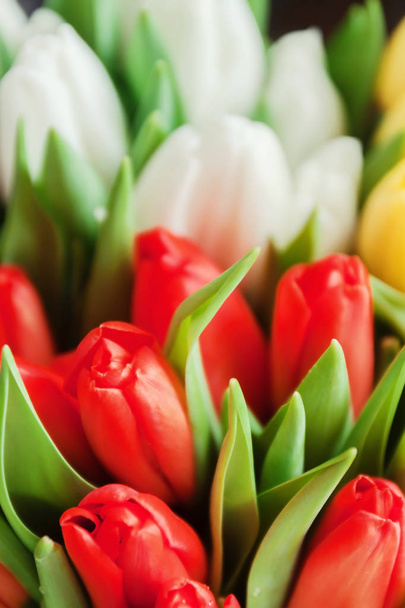Крупный план букеты красочных тюльпанов, красный, желтый, белый в б
 - Фото, изображение