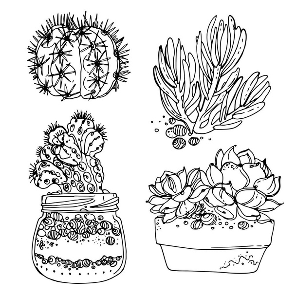 succulents and cacti set - Vector, imagen