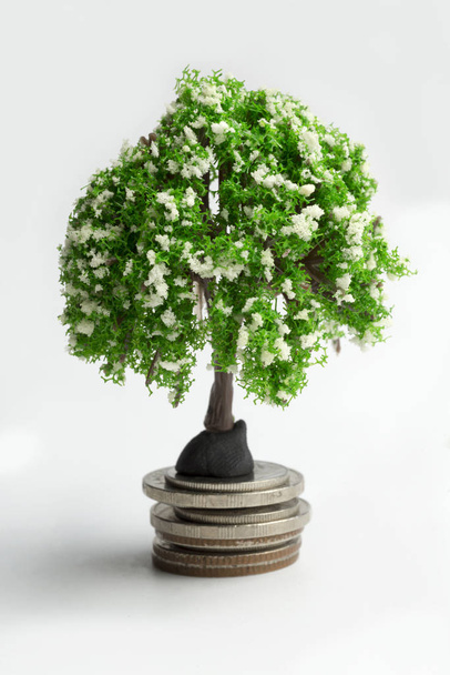 Green tree on coins. - Photo, Image