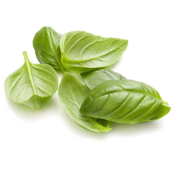 Sweet basil herb leaves handful - Фото, зображення