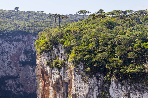 Blick auf den itaimbezinho Canyon - Foto, Bild