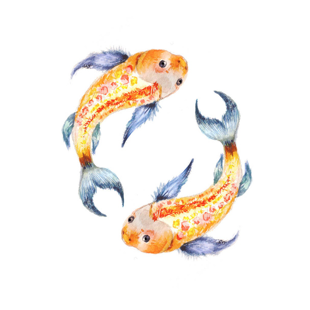 Koi fish. Yin Yang symbol. Watercolor illusration isolated on wh - Fotografie, Obrázek