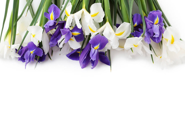 Bouquet of iris flowers - Foto, Imagem