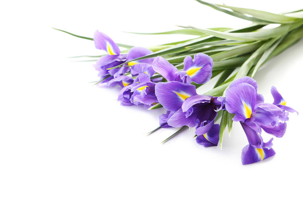 Ramo de flores de iris
 - Foto, Imagen