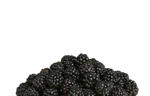 Blackberry - Photo, Image