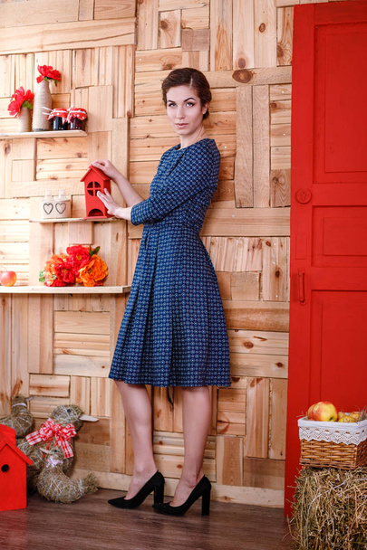 woman posing in blue dress  - Zdjęcie, obraz