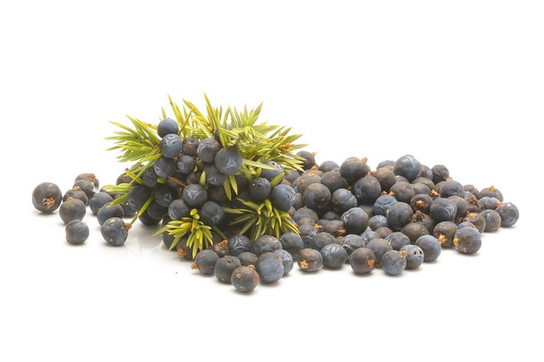  Juniper berries isolated on white - Photo, Image