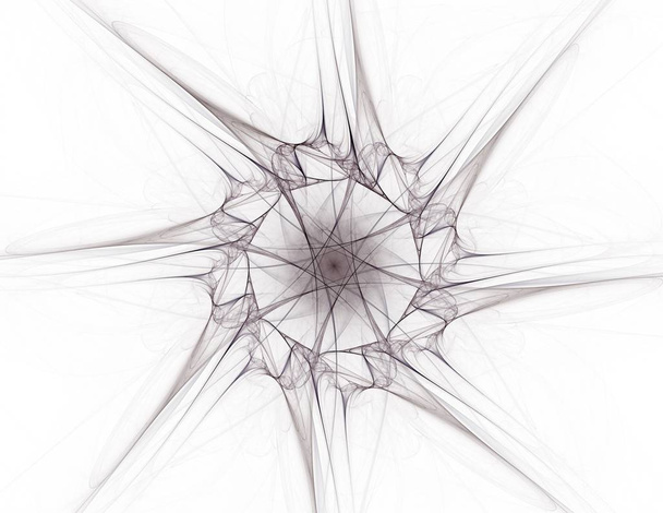 Γεωμετρία της σειράς χώρο. Οπτικά ελκυστικό σκηνικό κατασκευασμένα από εννοιολογική πλέγματα καμπύλες και τα στοιχεία της fractal κατάλληλο ως στοιχείο  - Φωτογραφία, εικόνα