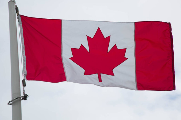 Флаг Канады
 - Фото, изображение
