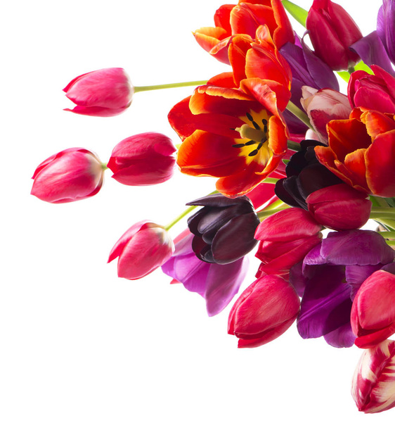 Beautiful bouquet of purple tulips - Fotoğraf, Görsel