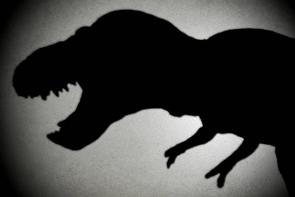 Τυραννόσαυρος σκιά με πλακάτα φως στο σκοτάδι - Φωτογραφία, εικόνα