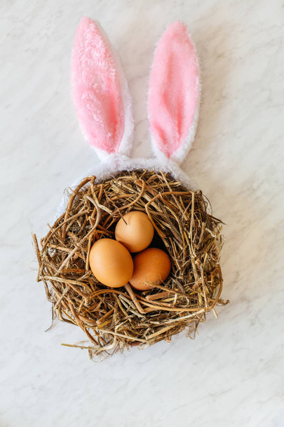 eggs in bird nest - Photo, image