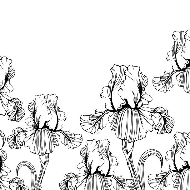 flower, iris, nature, floral, plant, vector, summer, spring, design, illustration - Vektör, Görsel