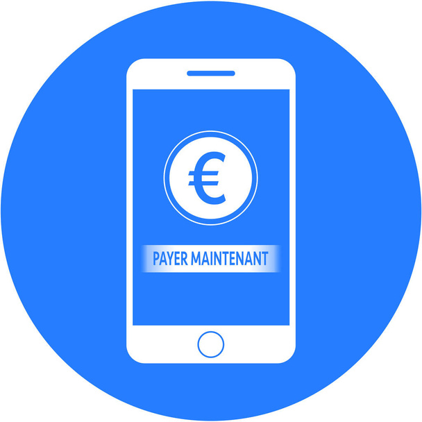 Azul pagar ahora y euro signo de diseño en un botón redondo plano
 - Foto, imagen