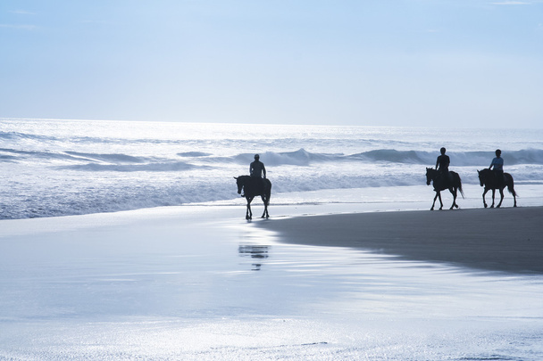 Paardrijden tour kuta strand bali - Foto, afbeelding