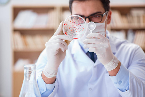 Arzt untersucht Virusbakterien im Labor - Foto, Bild