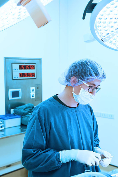 cirurgiões veterinários na sala de cirurgia  - Foto, Imagem